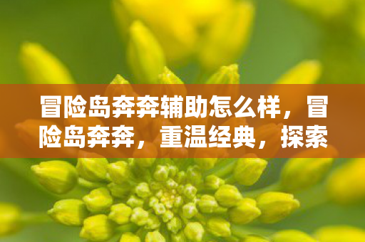 冒险岛奔奔辅助怎么样图片