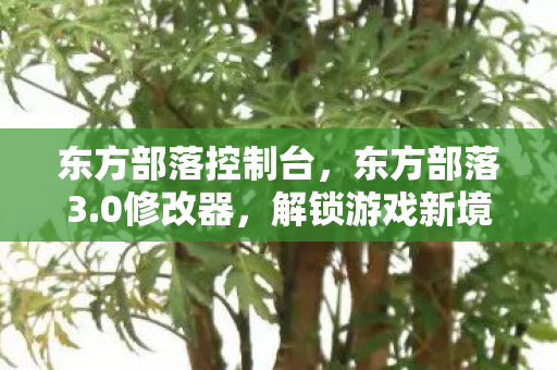 解锁游戏新境界的利器图片