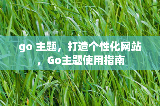 Go主题使用指南图片
