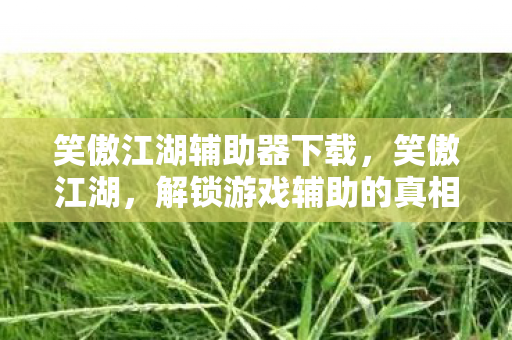 解锁游戏辅助的真相与反思图片