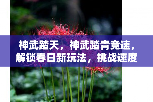 解锁春日新玩法图片