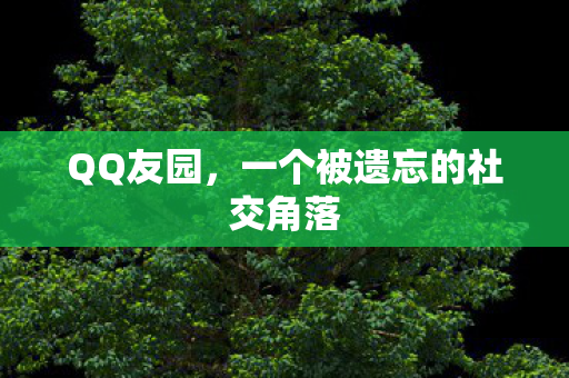 一个被遗忘的社交角落图片
