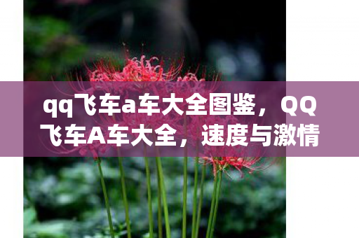 qq飞车a车大全图鉴图片