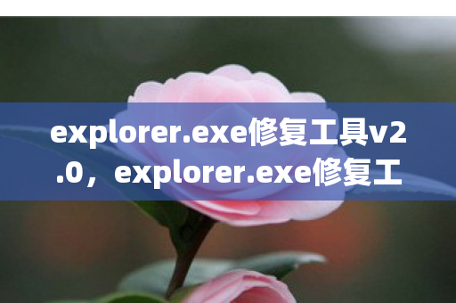 轻松解决Windows系统问题的利器图片