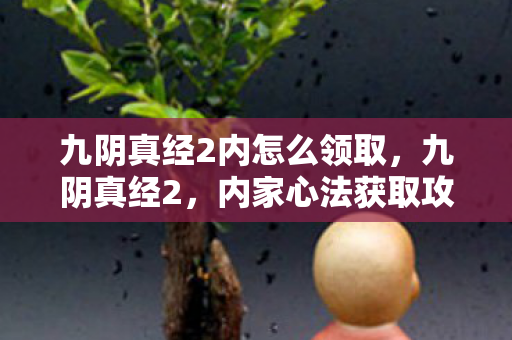 九阴真经2内怎么领取图片