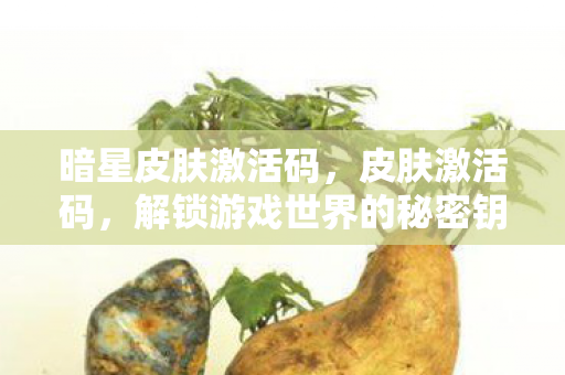 解锁游戏世界的秘密钥匙图片