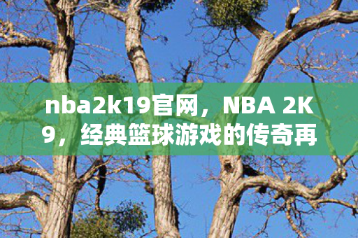 经典篮球游戏的传奇再现图片