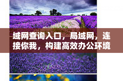 构建高效办公环境图片