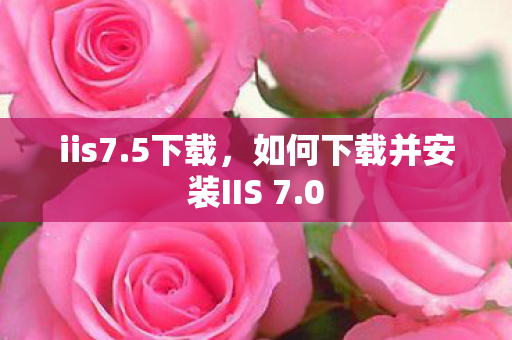 如何下载并安装IIS 7图片
