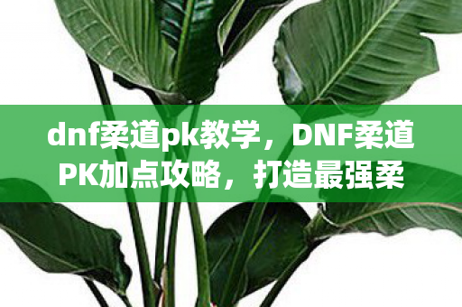 DNF柔道PK加点攻略图片