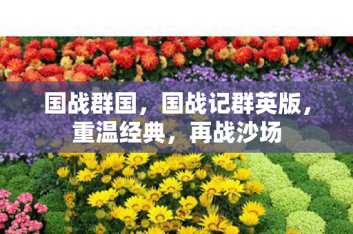 国战记群英版图片