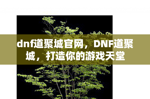 dnf道聚城官网图片
