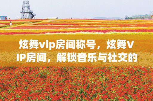 解锁音乐与社交的新体验图片