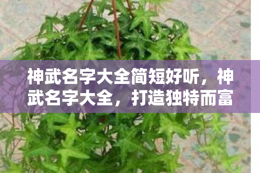 打造独特而富有深意的角色名称图片