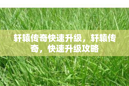 轩辕传奇快速升级图片