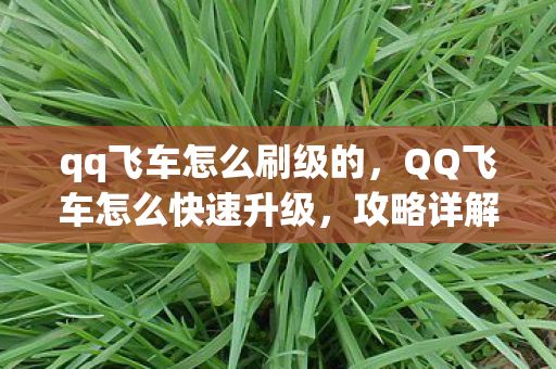 qq飞车怎么刷级的，QQ飞车怎么快速升级，攻略详解
