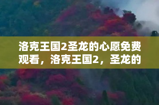 洛克王国2圣龙的心愿免费观看图片