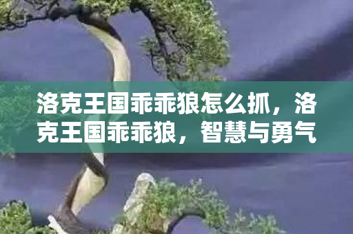 洛克王国乖乖狼怎么抓图片