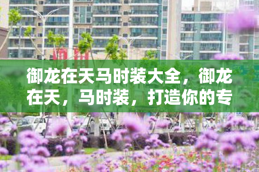 御龙在天马时装大全图片