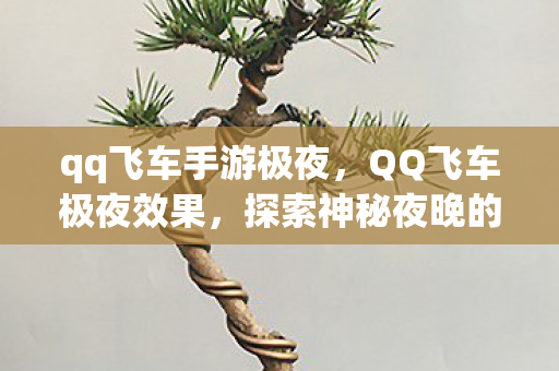 qq飞车手游极夜，QQ飞车极夜效果，探索神秘夜晚的极速魅力