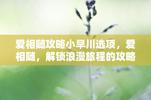 爱相随攻略小早川选项图片