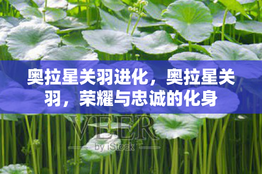 荣耀与忠诚的化身图片