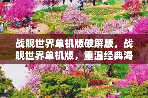 重温经典海战的绝佳选择图片