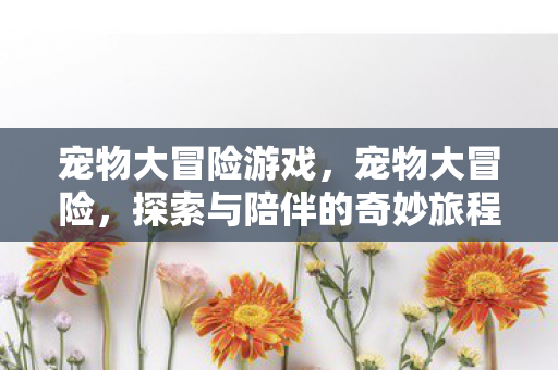 探索与陪伴的奇妙旅程图片