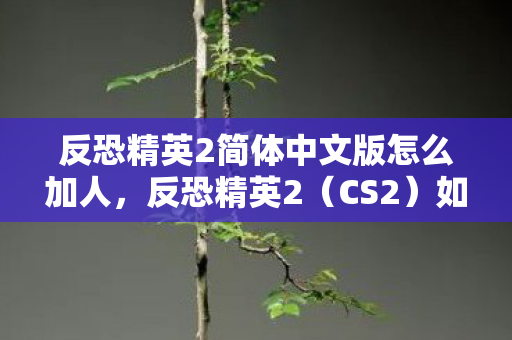 反恐精英2简体中文版怎么加人图片