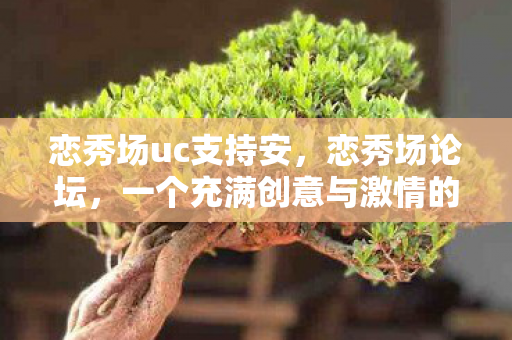 一个充满创意与激情的社交新平台图片