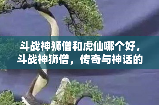 斗战神狮僧和虎仙哪个好图片