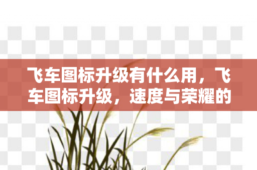 飞车图标升级有什么用，飞车图标升级，速度与荣耀的双重进阶