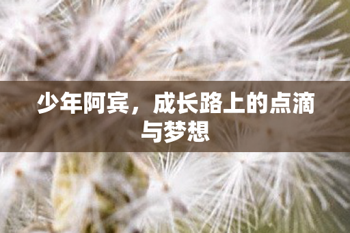 成长路上的点滴与梦想图片