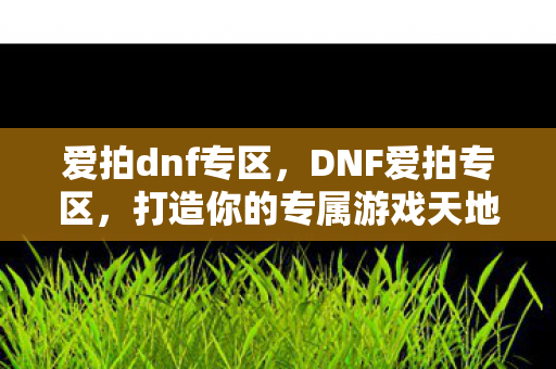 打造你的专属游戏天地图片