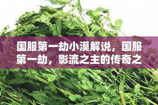 国服第一劫小漠解说图片