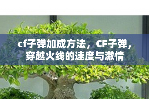 穿越火线的速度与激情图片