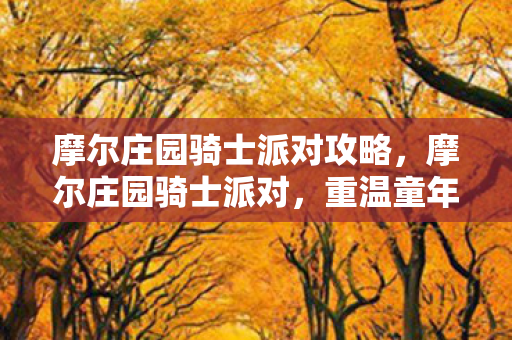 摩尔庄园骑士派对攻略图片