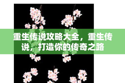 重生传说攻略大全图片