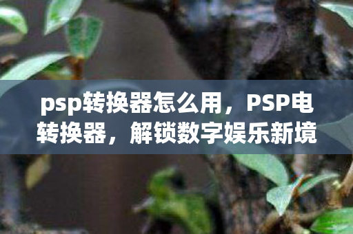 解锁数字娱乐新境界的必备神器图片