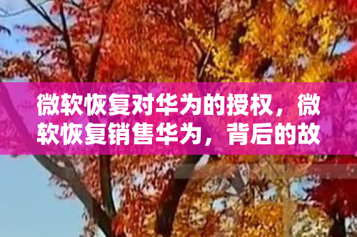 微软恢复对华为的授权，微软恢复销售华为，背后的故事与未来展望