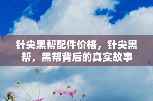 针尖黑帮配件价格，针尖黑帮，黑帮背后的真实故事