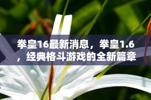 经典格斗游戏的全新篇章图片