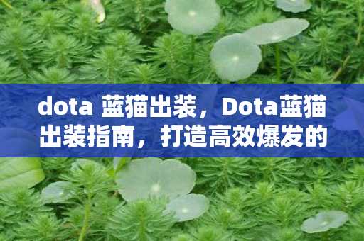 打造高效爆发的法师英雄图片