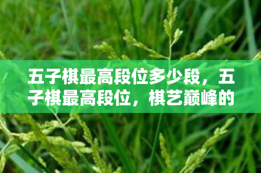 五子棋最高段位多少段图片