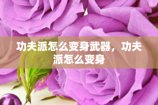 功夫派怎么变身武器图片