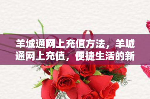 羊城通网上充值方法图片