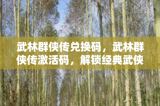 解锁经典武侠世界的钥匙图片