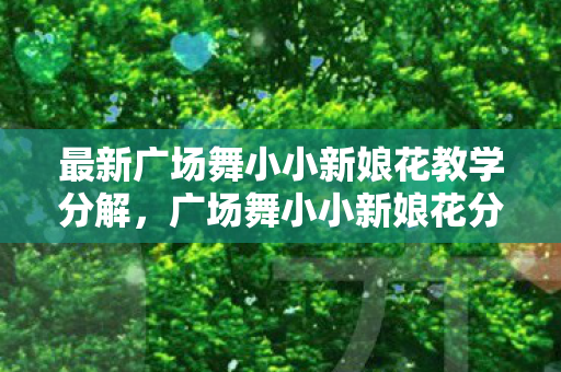 最新广场舞小小新娘花教学分解图片