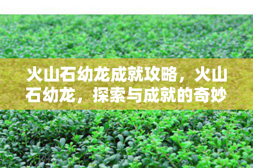 探索与成就的奇妙之旅图片