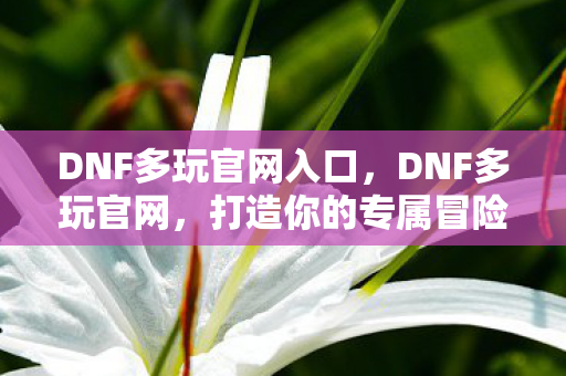 打造你的专属冒险之旅图片